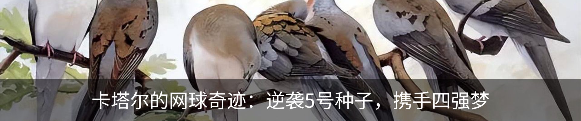 最新动态
